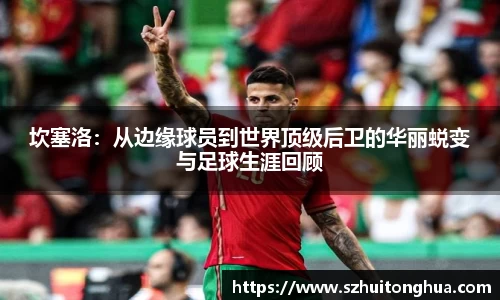 坎塞洛：从边缘球员到世界顶级后卫的华丽蜕变与足球生涯回顾