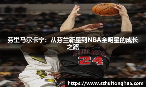 来利国际AG旗舰厅